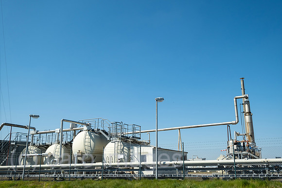 00A220423D054CAROEX.JPG
