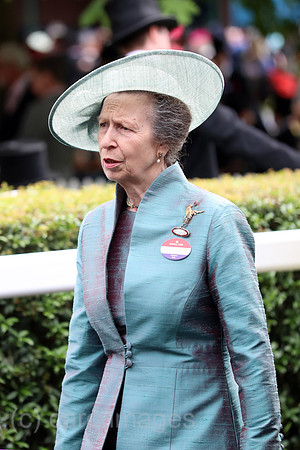 00S230620D371CARO.JPG