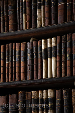Republik Irland, Dublin - Buecherregale, The Long Room (1732), Old Library des Trinity College 1592