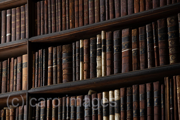 Republik Irland, Dublin - Buecherregale, The Long Room (1732), Old Library des Trinity College 1592