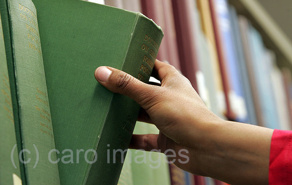 0KN050606D798CARO.JPG