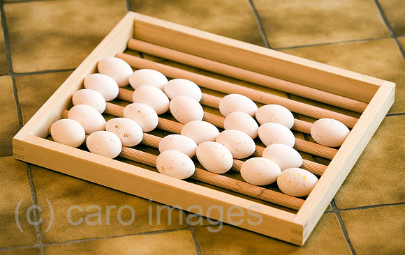 0KN070613D112CARO.JPG