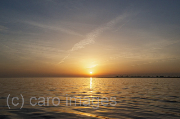 00W121019D006CARO.JPG