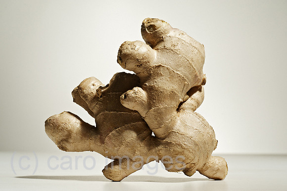 00W120109D002CARO.JPG