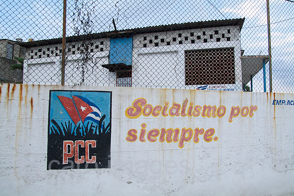 00W110719D005CARO.JPG