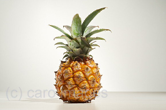00W120109D020CARO.JPG