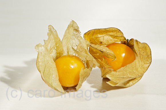 00W120110D011CARO.JPG