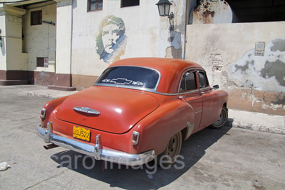 00W110710D007CARO.JPG