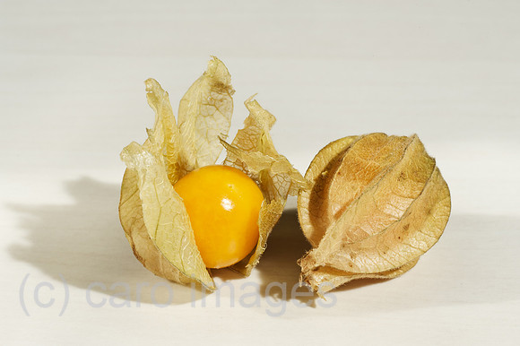 00W120110D012CARO.JPG