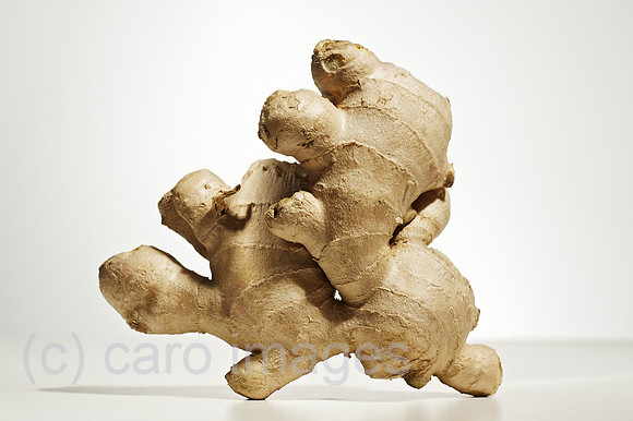 00W120109D001CARO.JPG