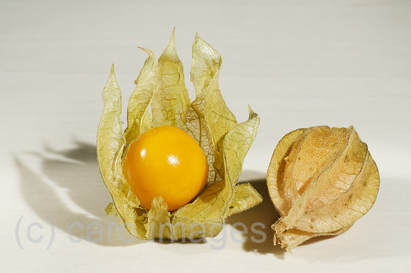 00W120110D013CARO.JPG