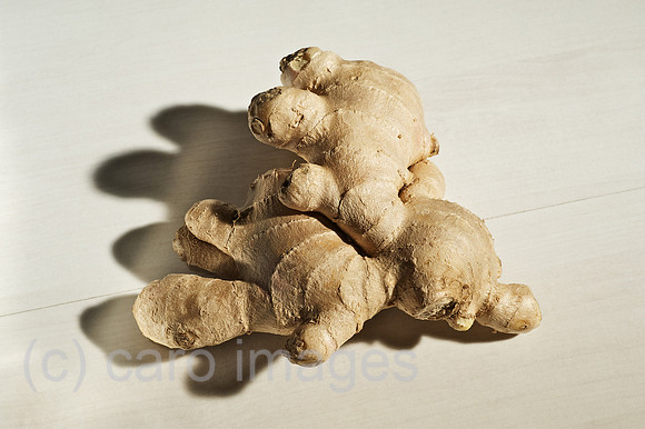 00W120110D006CARO.JPG