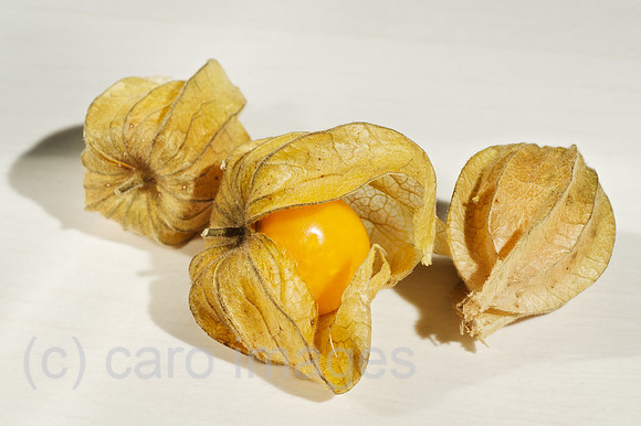 00W120110D015CARO.JPG