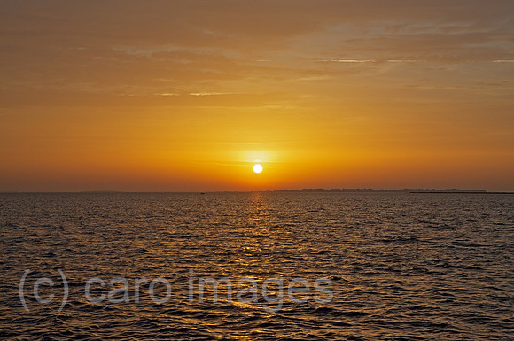 00W121020D004CARO.JPG
