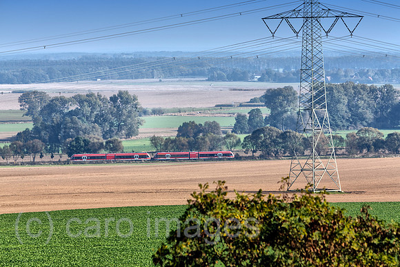 EJH141004D557CARO.JPG