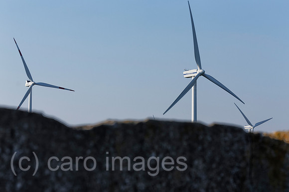 EJH141004D562CARO.JPG