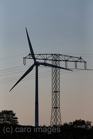 EJH141004D569CARO.JPG