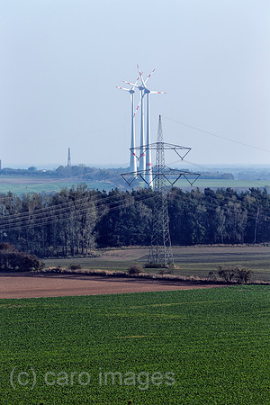 EJH141004D566CARO.JPG