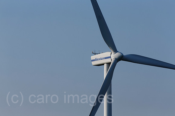 EJH141004D564CARO.JPG