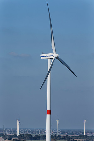 EJH141004D554CARO.JPG