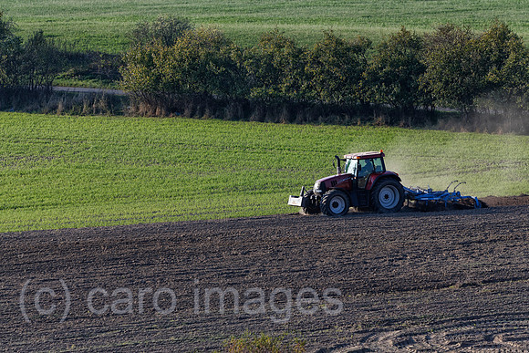 EJH141004D551CARO.JPG