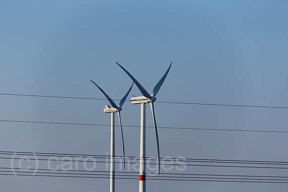 EJH141004D571CARO.JPG
