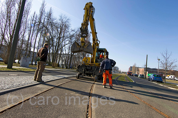 EJH11031521CARO.JPG