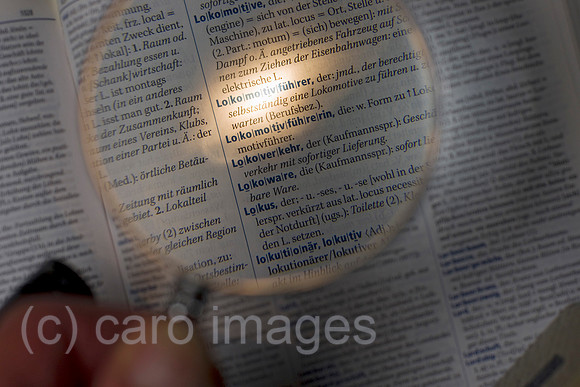 EJH11030208CARO.JPG
