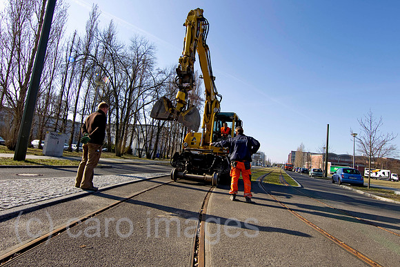 EJH11031520CARO.JPG