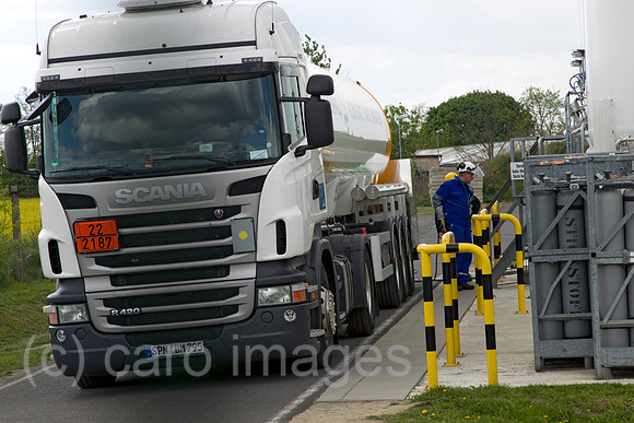 EJH11050320CARO.JPG