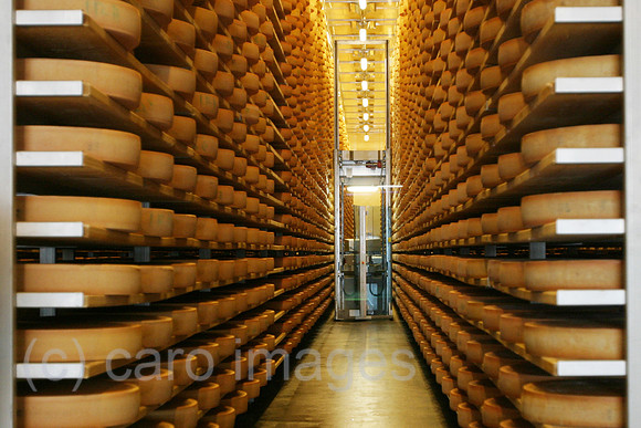 0AT060312D044CARO.JPG