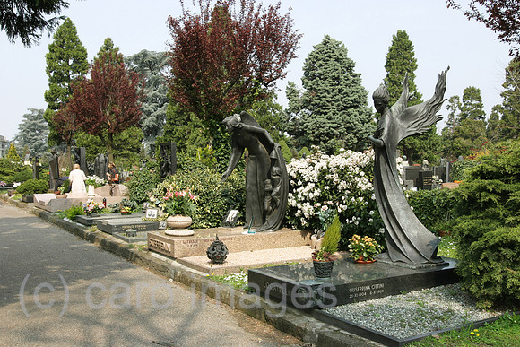 0AT070411D903CARO.JPG