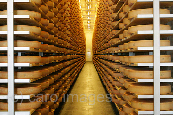 0AT060312D042CARO.JPG