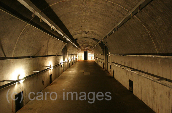 0AT060810D041CARO.JPG