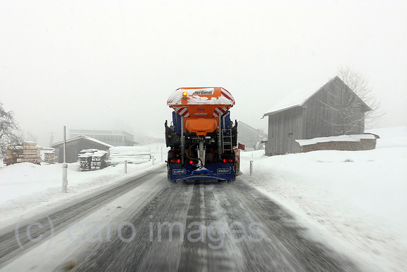 0AT060312D049CARO.JPG