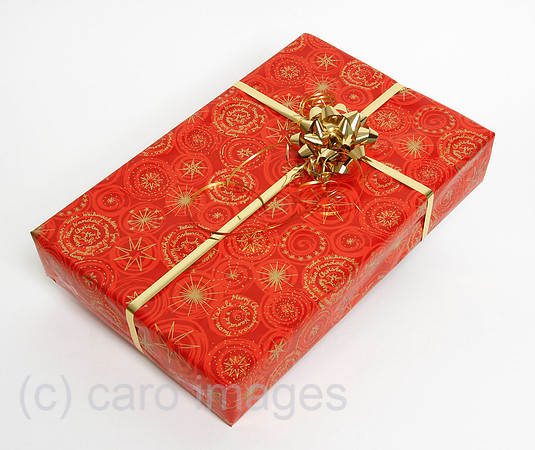 0AT061210D001CARO.JPG