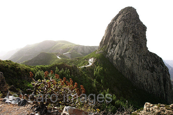 0AT061015D039CAROE.JPG