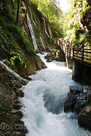 0AT060810D029CARO.JPG