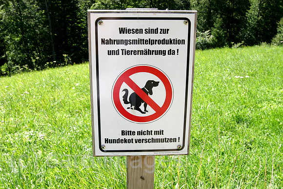 0AT060810D060CARO.JPG