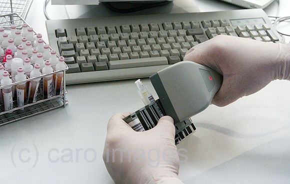 00R077812CARO.JPG