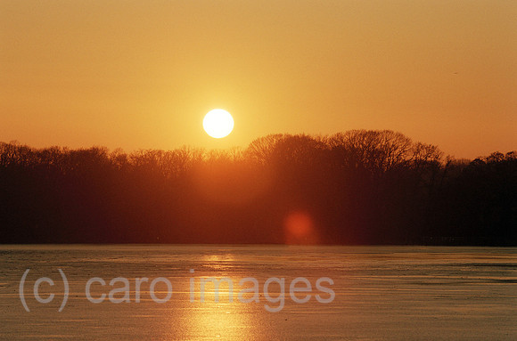 00R079213CARO.JPG