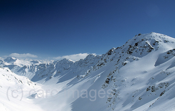 00R079814CARO.JPG