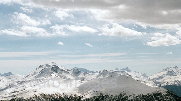 00R079711CARO.JPG