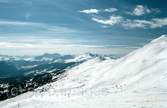 00R079616CARO.JPG