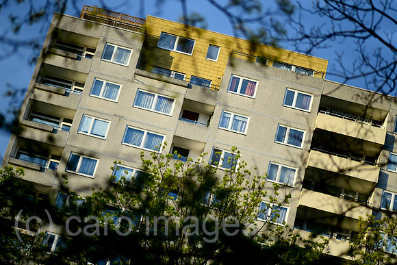 0HD160704D028CARO.JPG