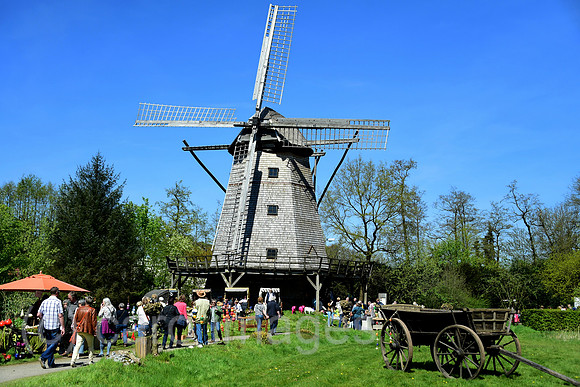 0HD160802D073CARO.JPG