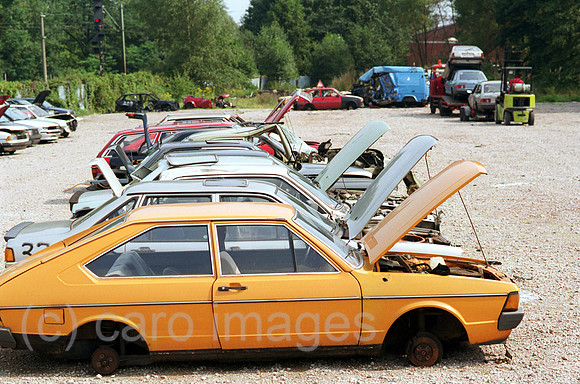 00A91834CARO.JPG