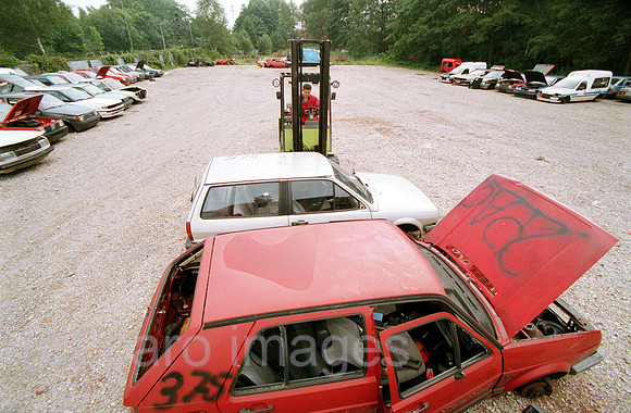 00A91707ACARO.JPG