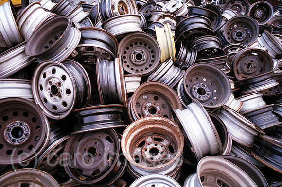 00A91905ACARO.JPG