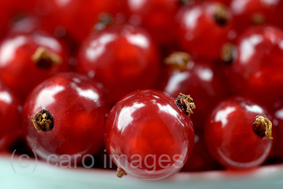 00N080714D070CAROEP.JPG